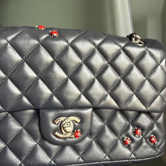 CHANEL Ladybug Classic Flap Bag - Picture 4 of 12